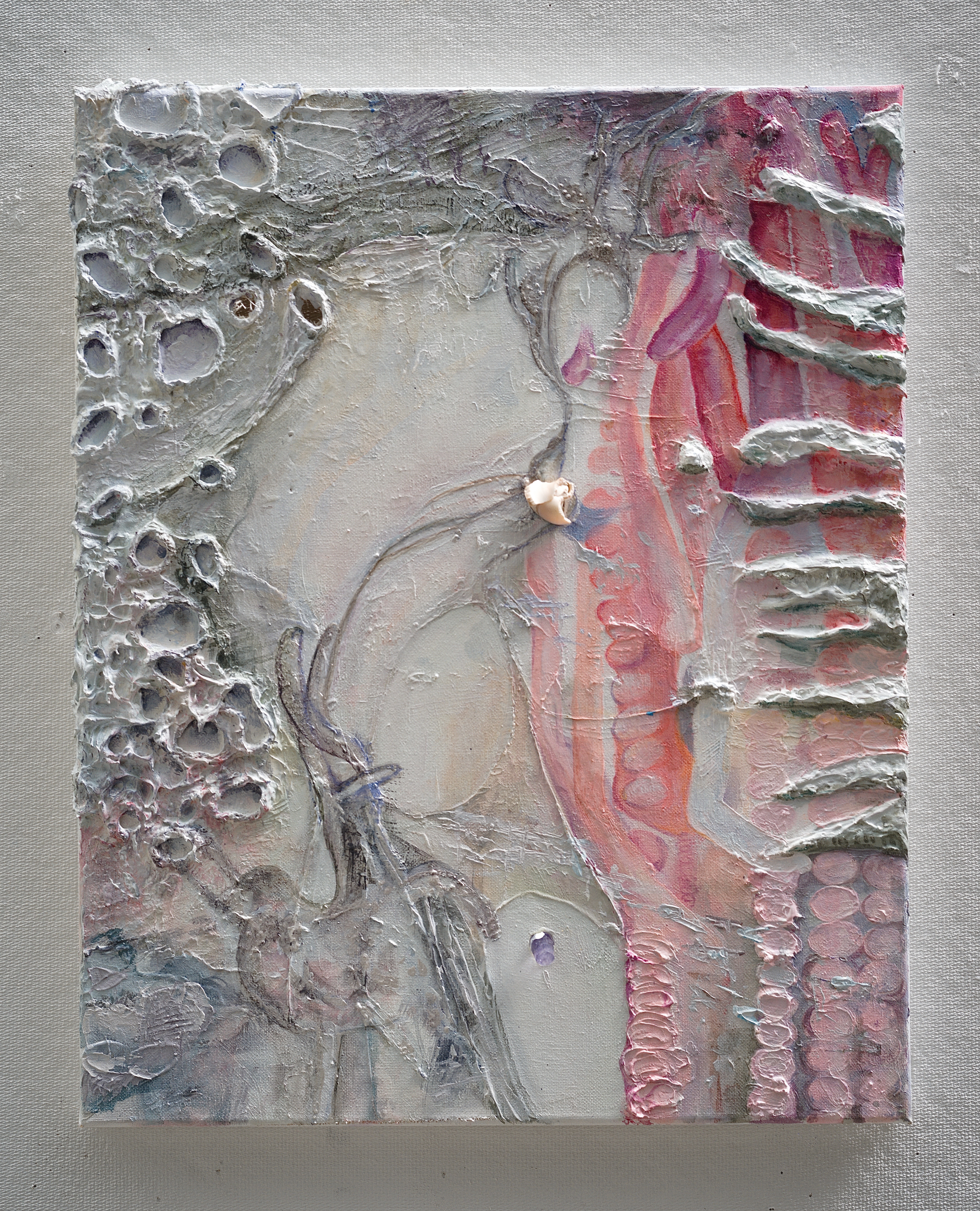 Photograph 25.2